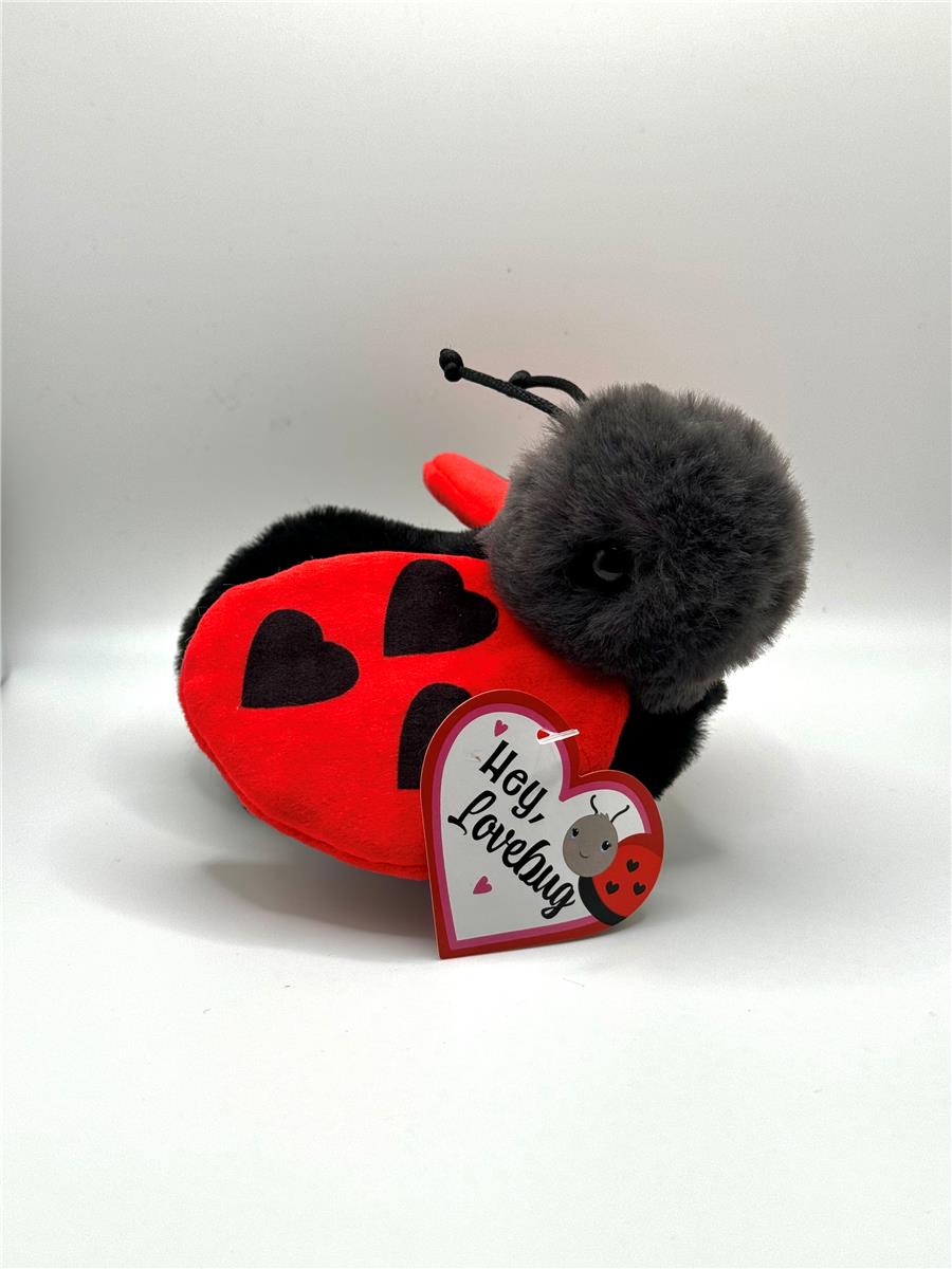 Ladybug Love